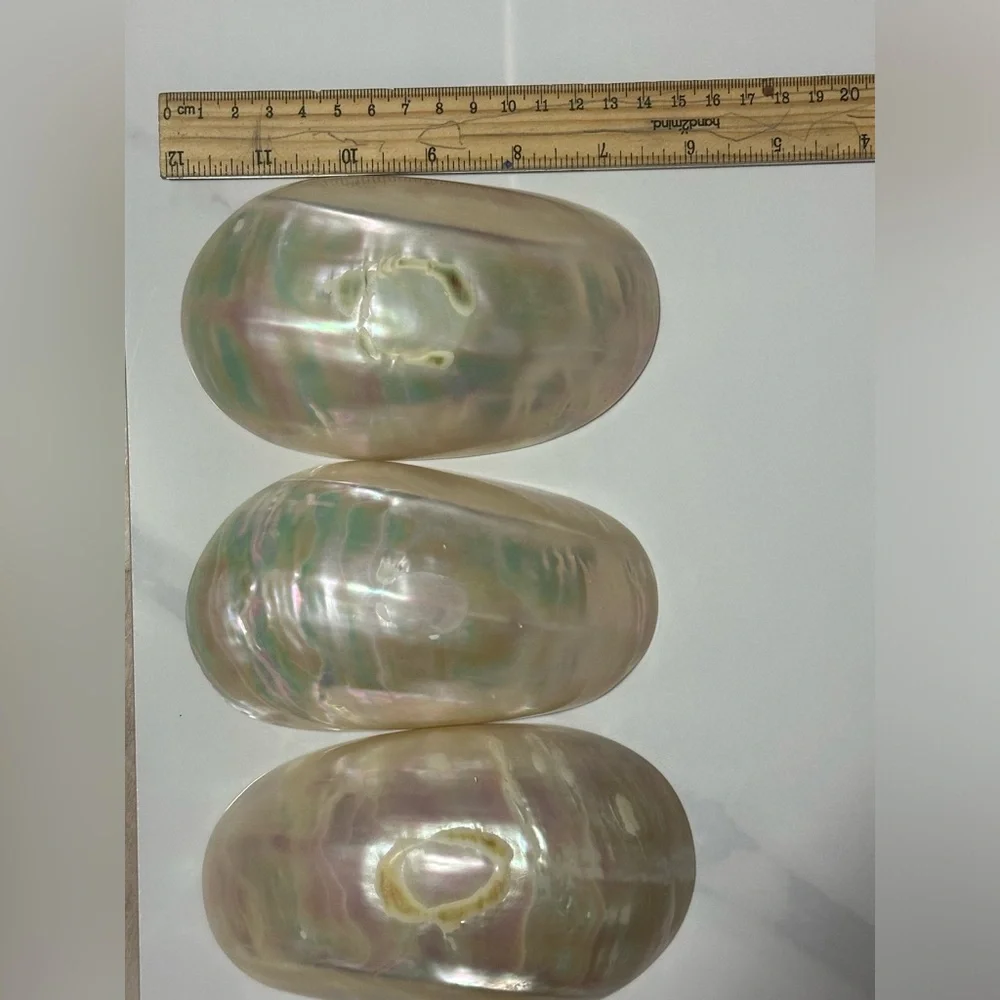 Iridescent Shell Decor Set - Picture 3 of 4
